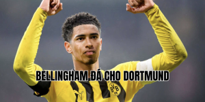 bellingham đá cho dortmund