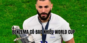 benzema có bao nhiêu world cup